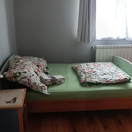 Agroturystyka Pod Kogutem Zamosc  Ngoại thất bức ảnh