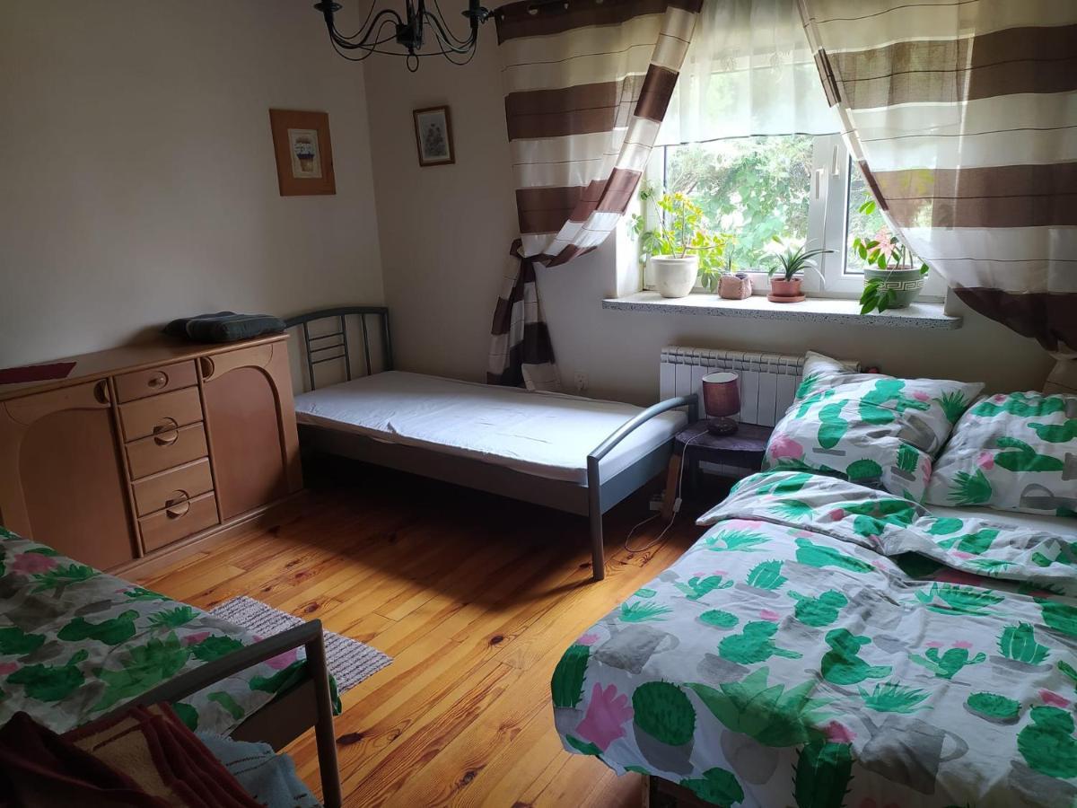 Agroturystyka Pod Kogutem Zamosc  Ngoại thất bức ảnh
