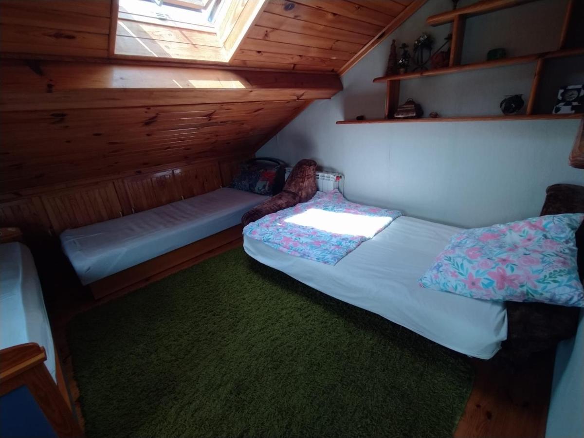 Agroturystyka Pod Kogutem Zamosc  Ngoại thất bức ảnh