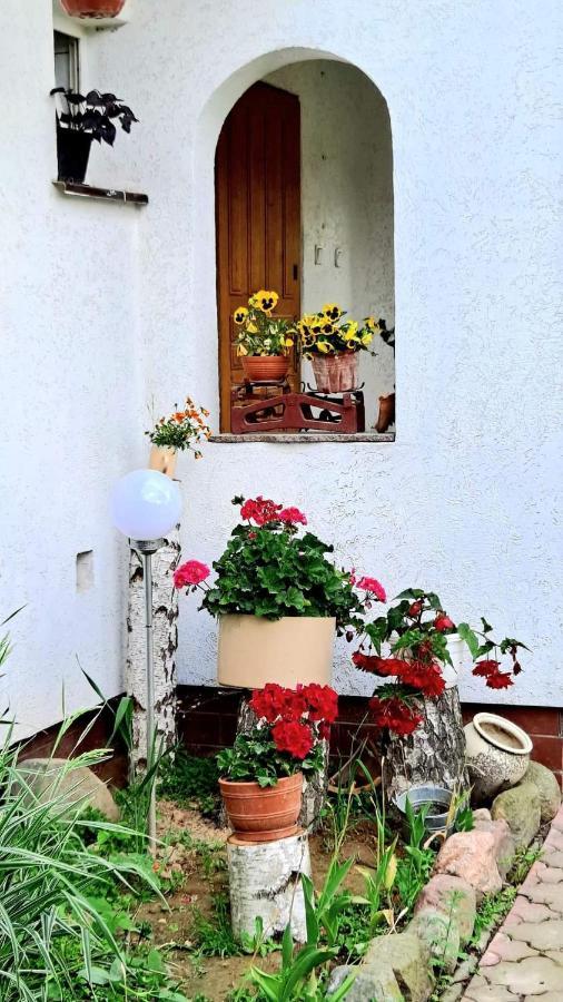 Agroturystyka Pod Kogutem Zamosc  Ngoại thất bức ảnh