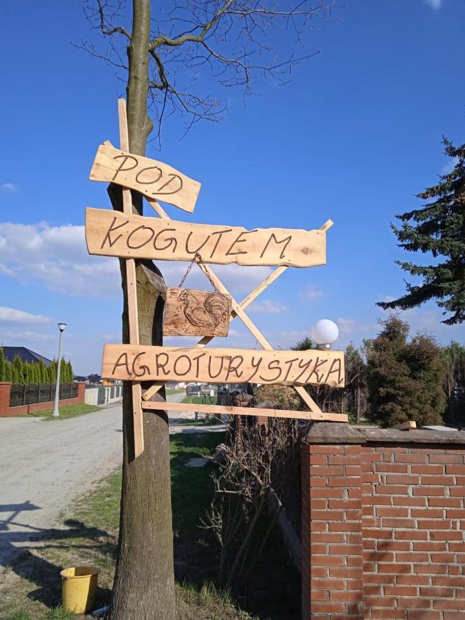 Agroturystyka Pod Kogutem Zamosc  Ngoại thất bức ảnh