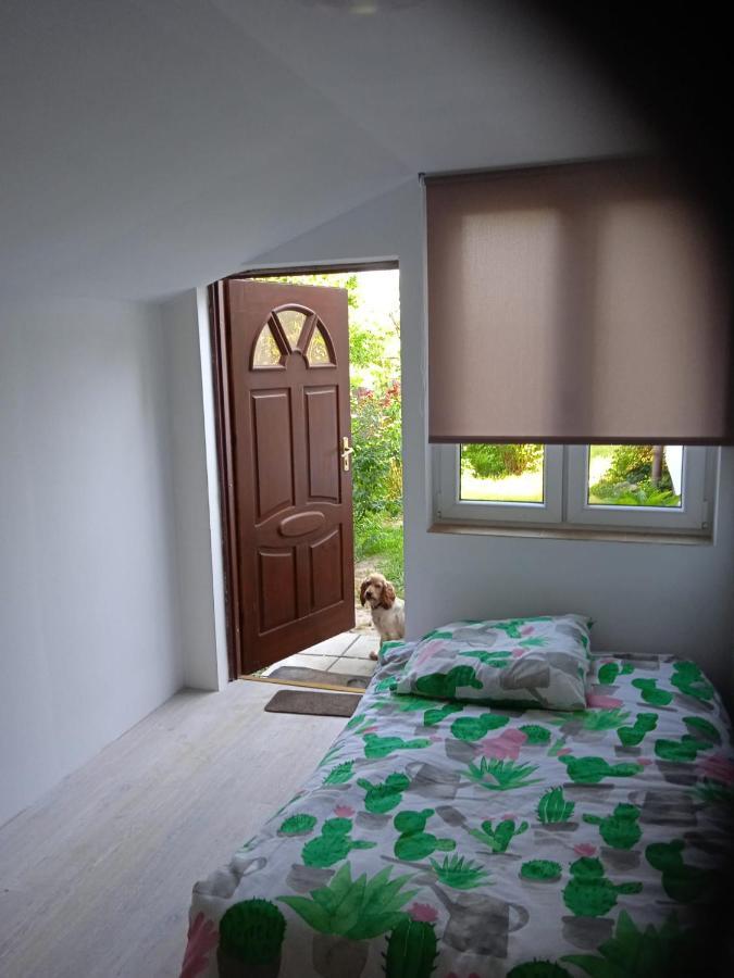 Agroturystyka Pod Kogutem Zamosc  Ngoại thất bức ảnh
