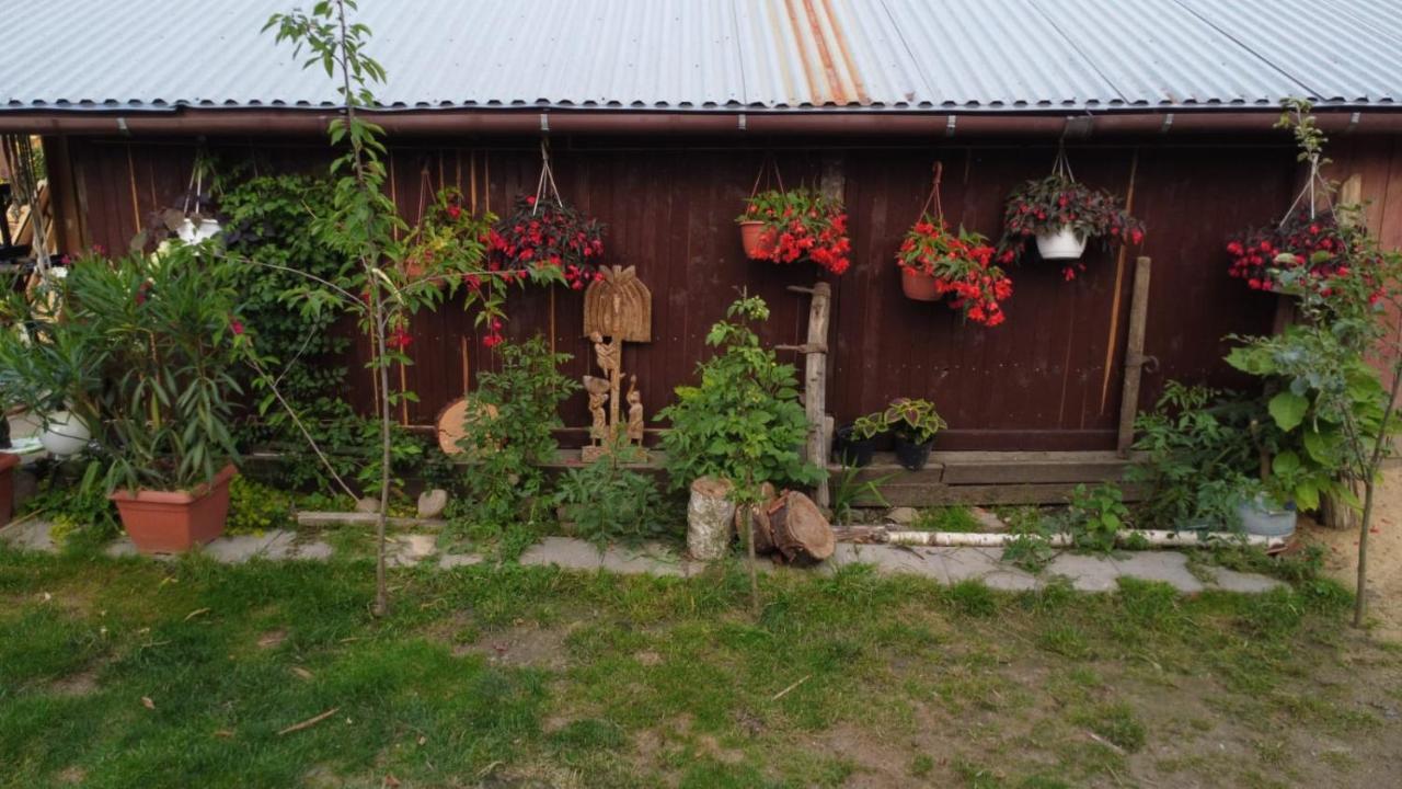 Agroturystyka Pod Kogutem Zamosc  Ngoại thất bức ảnh