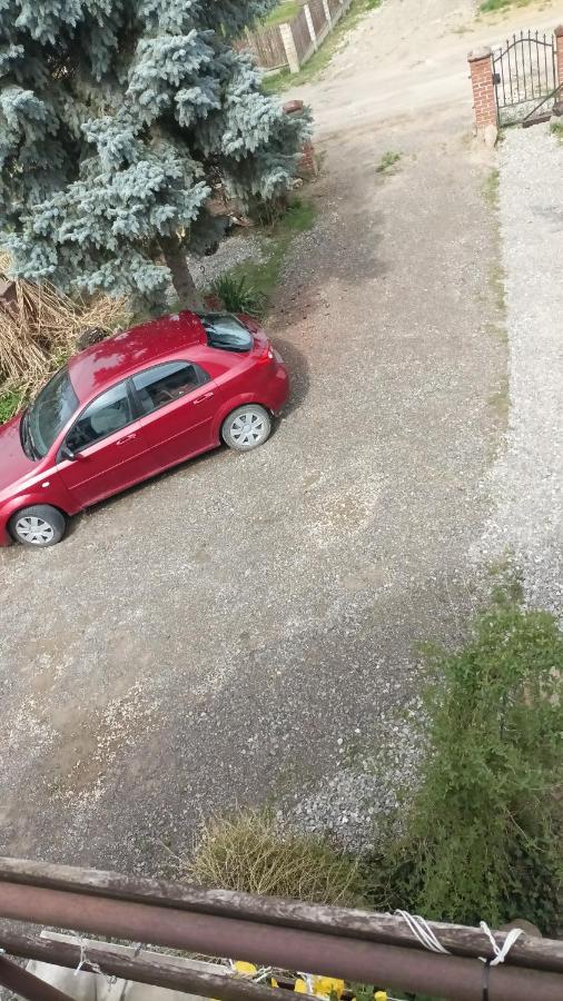 Agroturystyka Pod Kogutem Zamosc  Ngoại thất bức ảnh